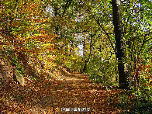 欧洲最美丽的散步地点